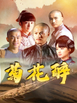 菊花醉电视剧海报