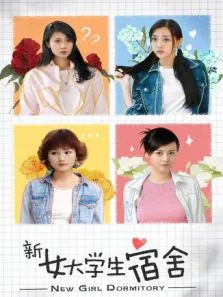 新女大学生宿舍电视剧海报