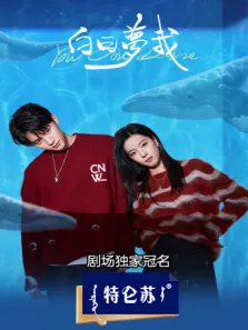 白日梦我电视剧海报