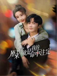 原来你就是我的命中注定电视剧海报