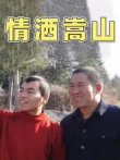 情洒嵩山电视剧海报