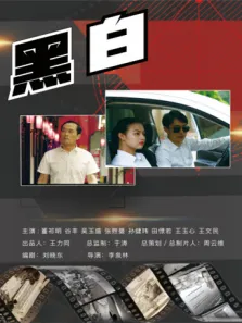 黑·白电视剧海报
