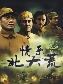 情系北大荒电视剧海报