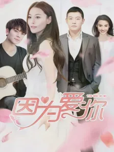 因为爱你电视剧海报