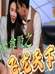 帝尊殿之飞龙天下电视剧海报