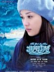 佳期如梦TV版电视剧海报