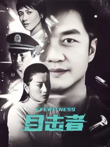 目击者电视剧海报