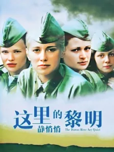 这里的黎明静悄悄电视剧海报