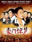 豪门惊梦电视剧海报