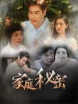家庭秘密电视剧海报