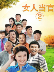 女人当官2电视剧海报