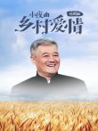 乡村爱情小夜曲短剧版电视剧海报