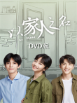以家人之名DVD版电视剧海报