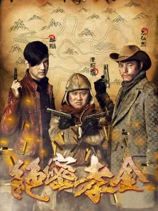 绝密孝金电视剧海报