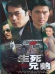 生于六十年代电视剧海报