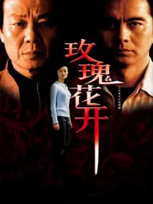 玫瑰花开电视剧海报