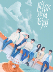 陪你逐风飞翔DVD版电视剧海报