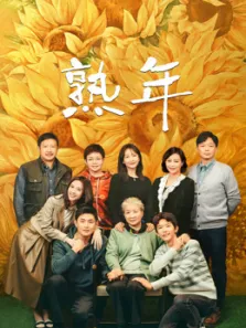 熟年电视剧海报