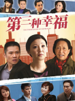 第三种幸福电视剧海报