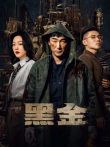 黑金电视剧海报