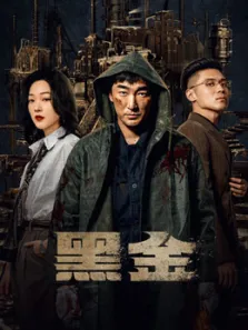 黑金电视剧海报