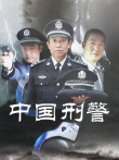 中国刑警电视剧海报