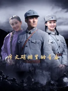 烽火硝烟里的青春 26集版电视剧海报