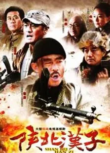 陕北汉子电视剧海报