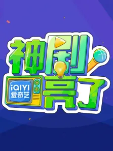 神剧亮了电视剧海报