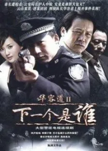 下一个是谁电视剧海报