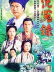 洗冤录-第一部电视剧海报