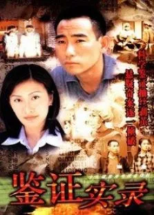 鉴证实录电视剧海报