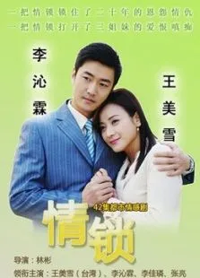情锁电视剧海报
