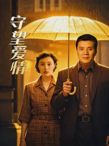 守望爱情电视剧海报