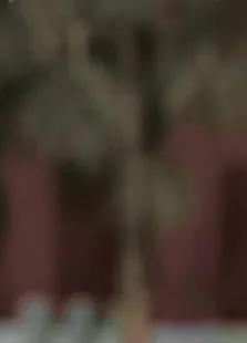 嘉庆君游台湾电视剧海报