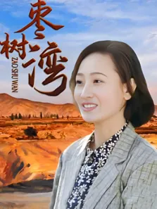 枣树湾电视剧海报
