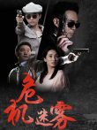 危机迷雾电视剧海报