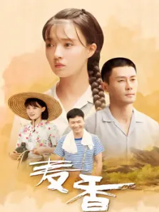 麦香电视剧海报