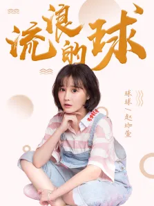 流浪的球电视剧海报