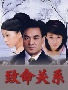 致命关系电视剧海报