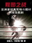 陛图之战电视剧海报
