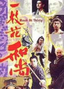 一枝花和尚电视剧海报