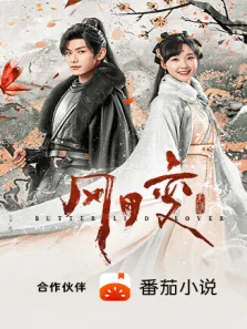 风月变电视剧海报