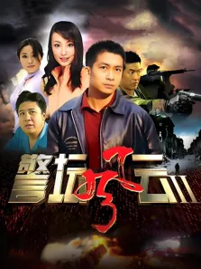 警坛风云第二部电视剧海报