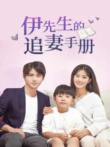 伊先生的追妻手册电视剧海报
