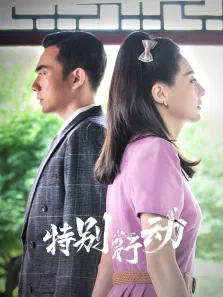 特别行动电视剧海报