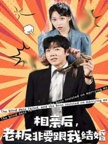 相亲后，老板非要跟我结婚电视剧海报
