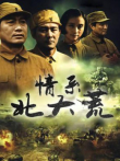 情系北大荒电视剧海报