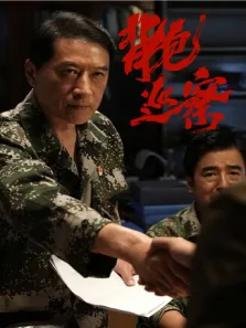 背包巡察电视剧海报