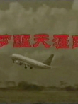 梦醒天涯路电视剧海报